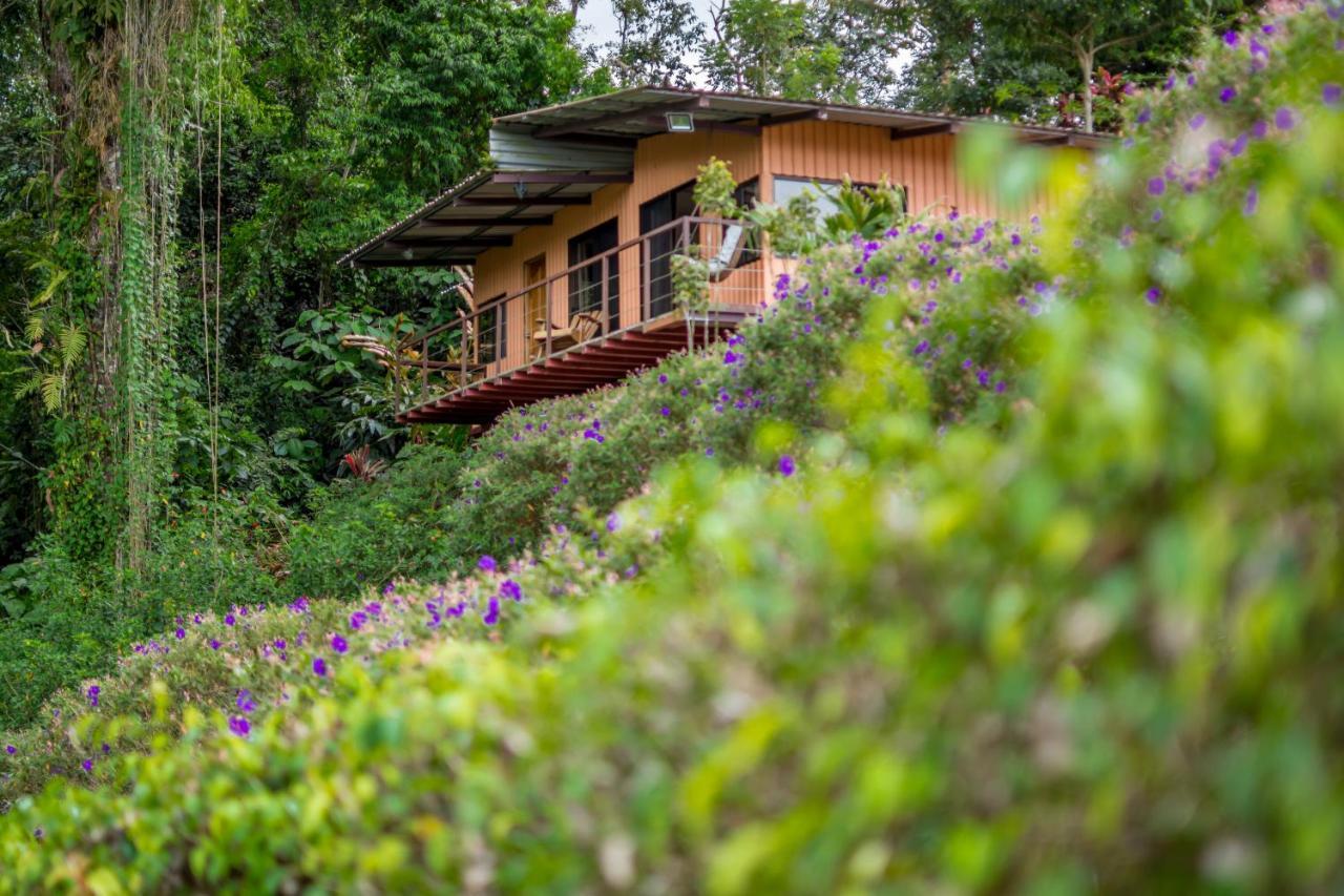 Nepenthe B&B El Castillo Ngoại thất bức ảnh